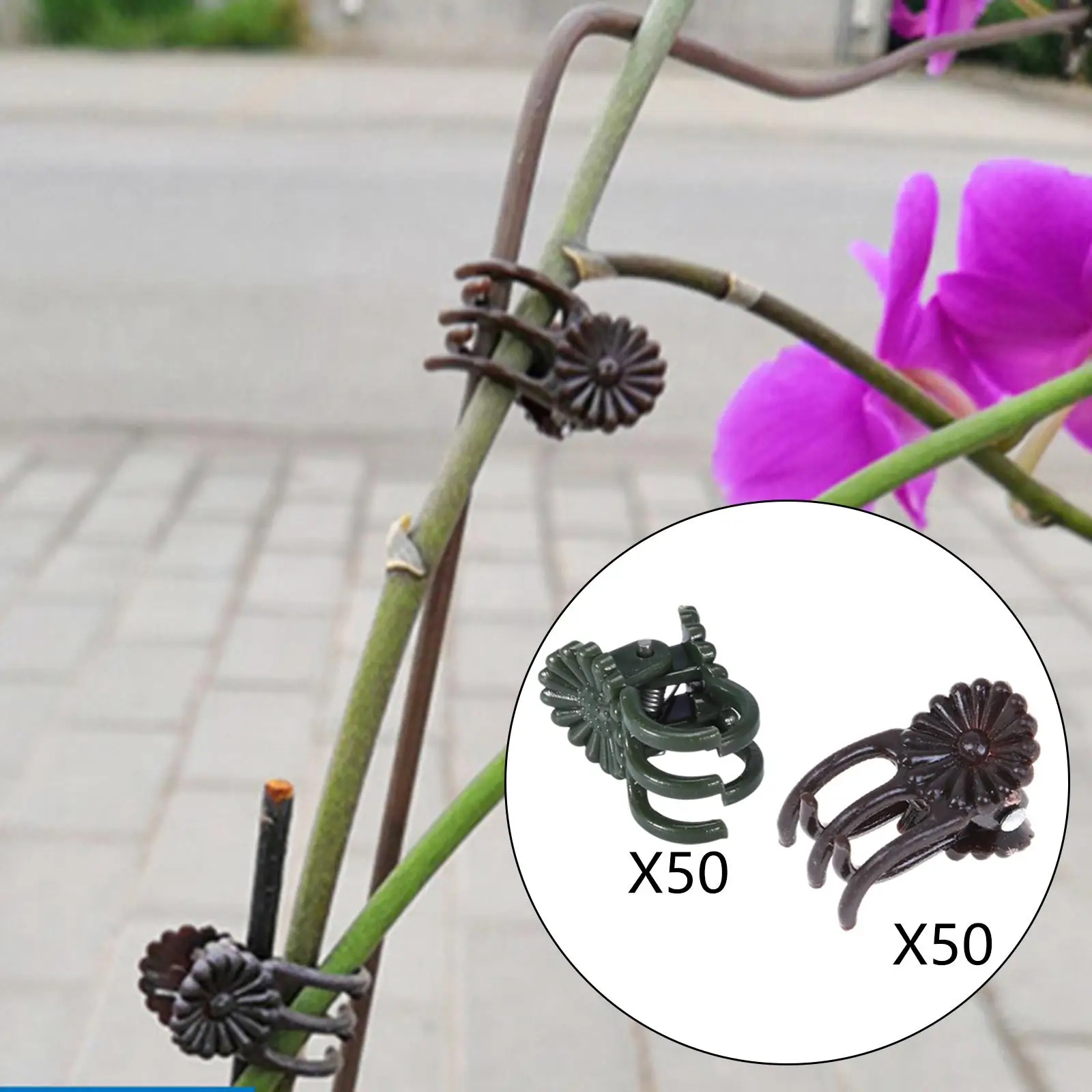 

50 Pieces Plastic Orchid Clips Flower Orchid Stem Clips Garden Clips for Farm Garden Backyard Orchid Support Stem Vines