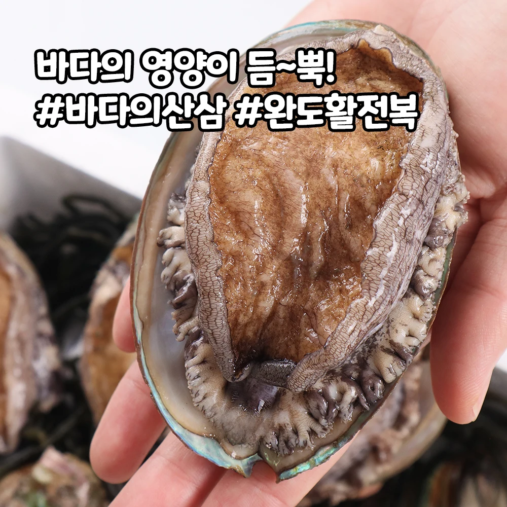 [Sea spot] Wando bow abalone 1kg (10-11 mi) direct production