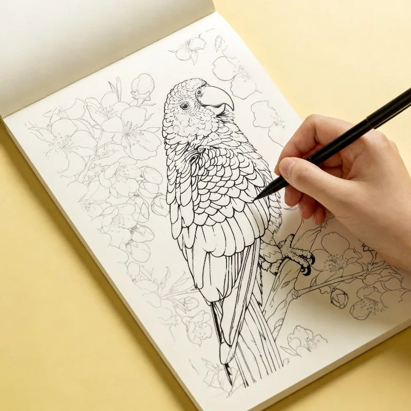 It Is A Zen Inspired Fine Line Drawing Coloring Book and An Adult Stress Relieving Hand Drawn Coloring Book, 24 Pages, Nice Gift