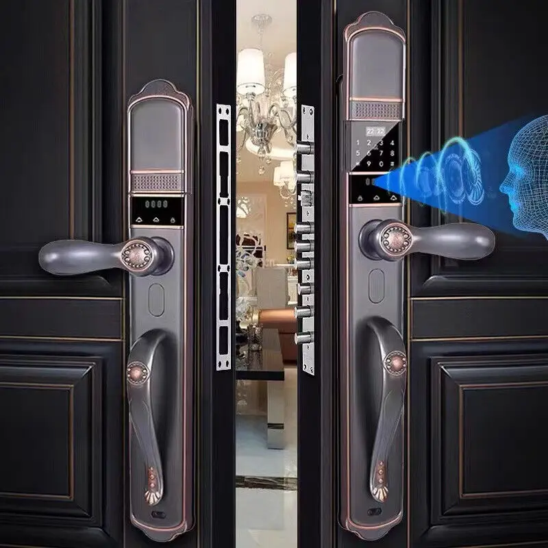 

Fingerprint Password Electronic Home Door Smart Lock Face Fingerprint Anti-theft Villa Luxury Application Tuya Wifi Camera