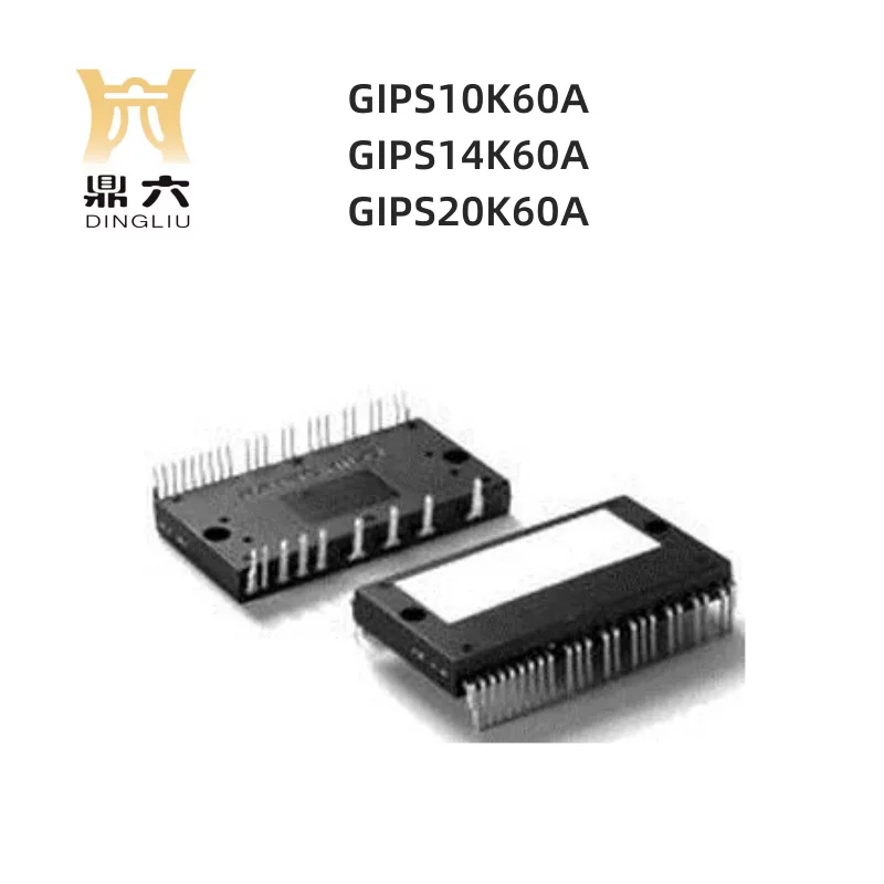 GIPS10K60A GIPS14K60A GIPS20K60A Module