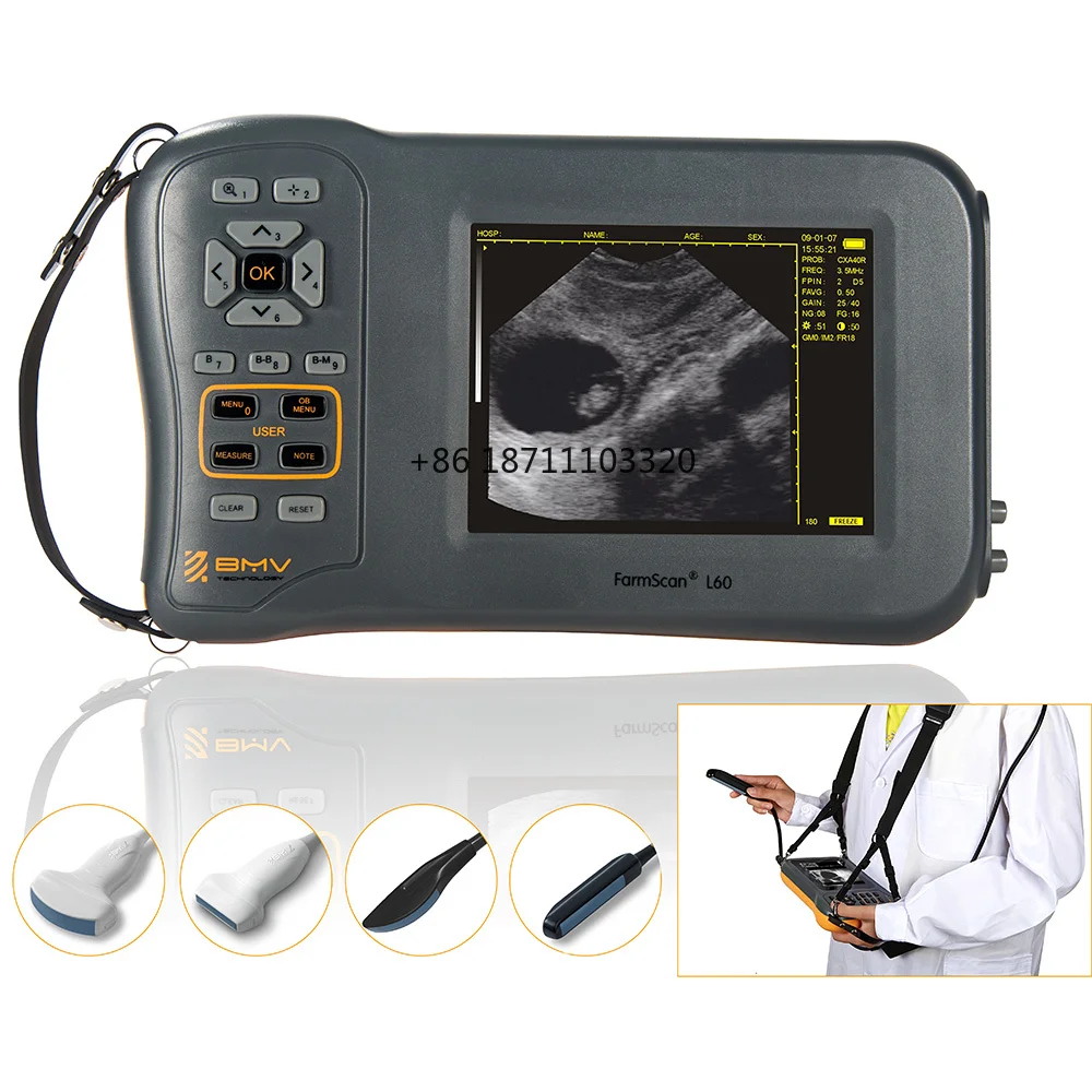 BMV Farmscan L60 handheld portable cattle equine sheep pig ultrasound scanner ecografo Veterinary instruments echographe cattle