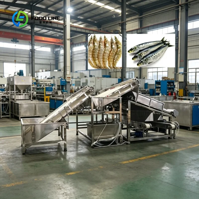 Customized Industrial Grading Machine for Fruit Vegetable Sorting with Stainless Steel 304 Motor and Bearing