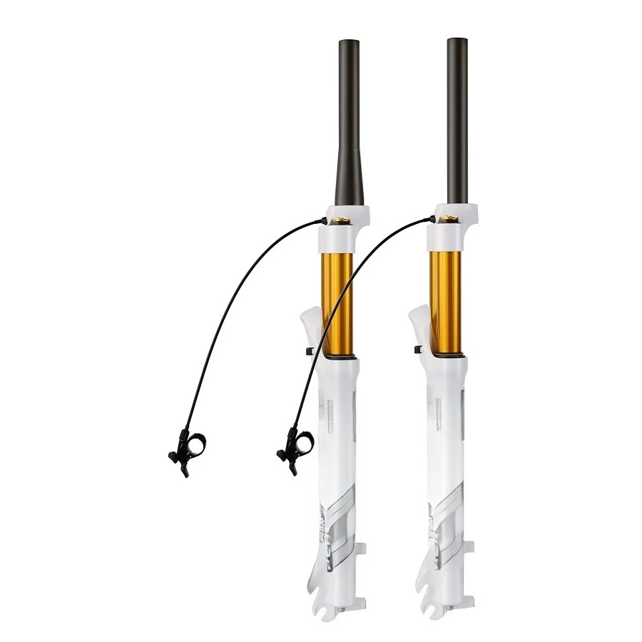 

Mountain bike air fork, shock absorber
