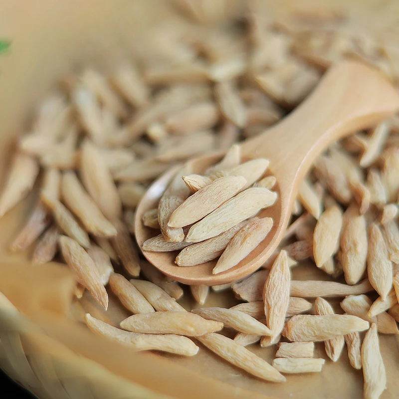 خالية من الكبريت سيتشوان أوفيوبوجون جابونيكوس