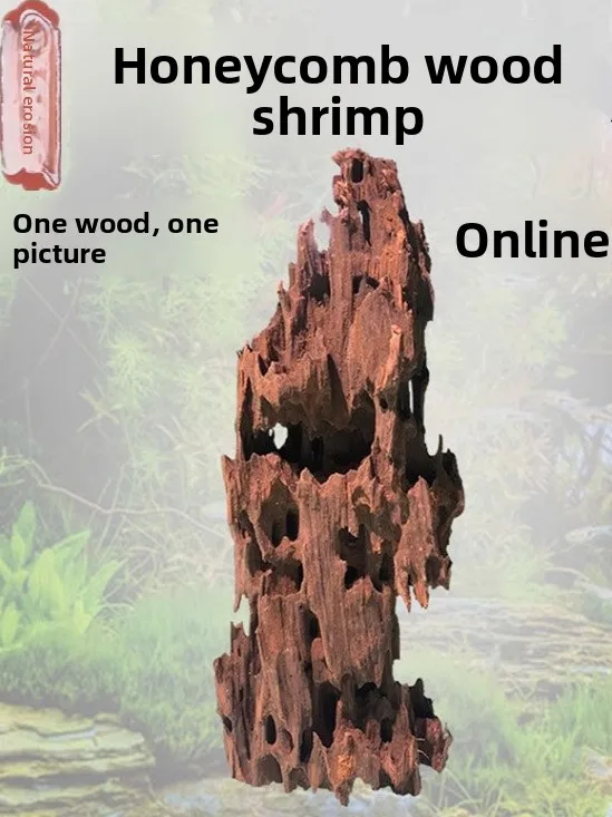 Sunken Wood Honeyco… - image