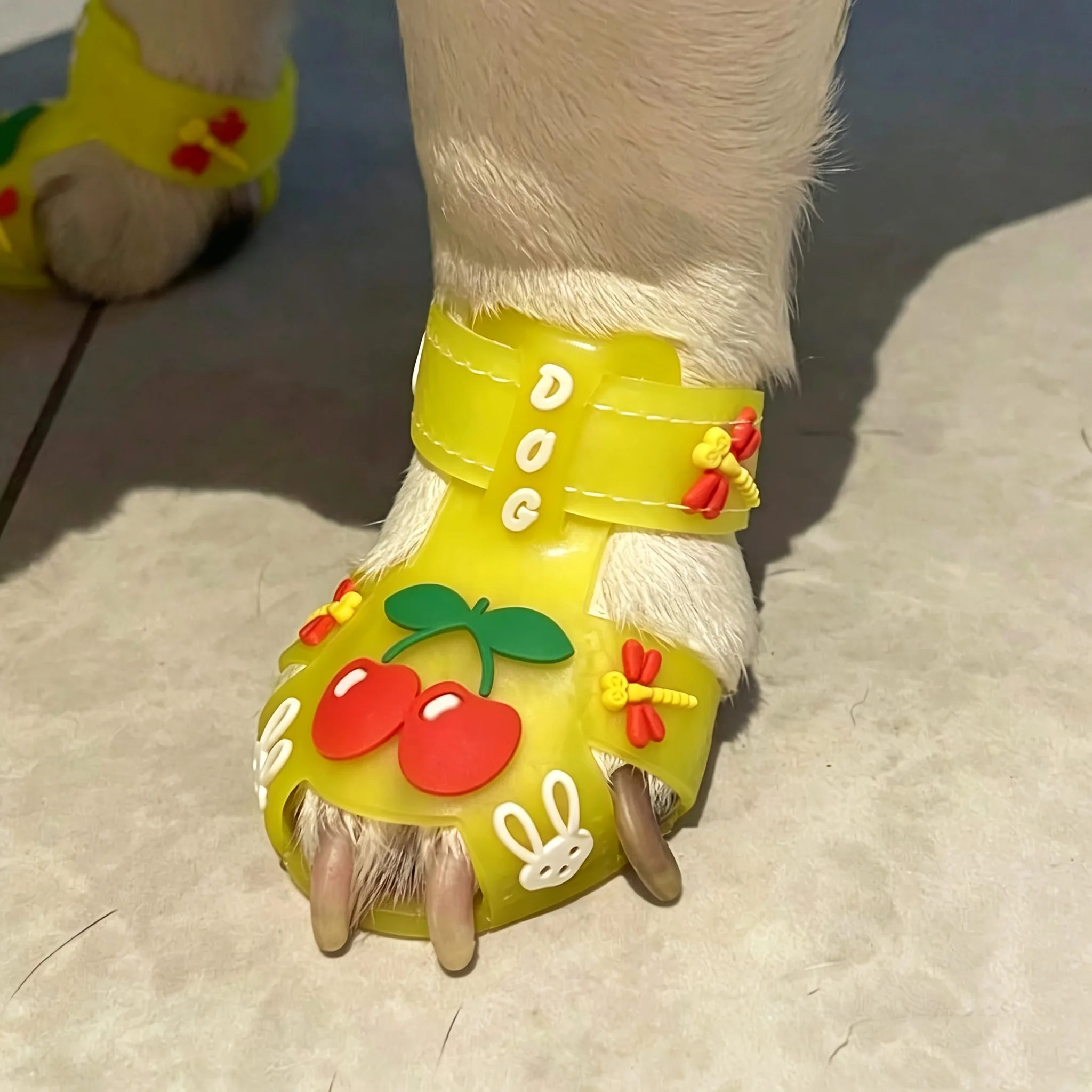 Breathable Pet Shoes Non-Slip Shoes for Small Dogs Trendy Dog Pet Summer Rain Shoes Sandals Waterproof Dog Shoes Dog Supplies