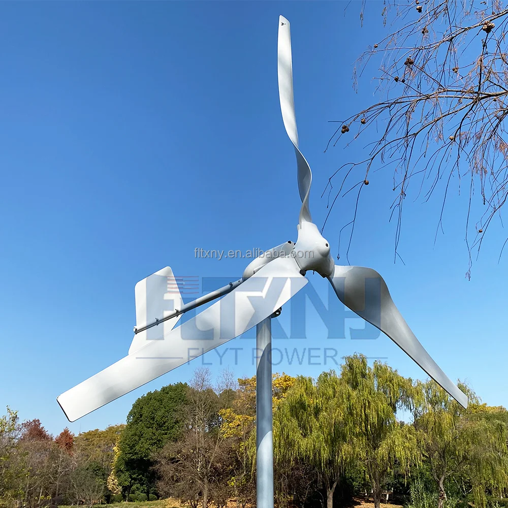 Fly Factory Sale  1kw 12v 24v  48v Horizontal Wind Turbine 1000w 2000w 3000w  Wind Turbine Generator 1 kw 2kw 3kw for Sale