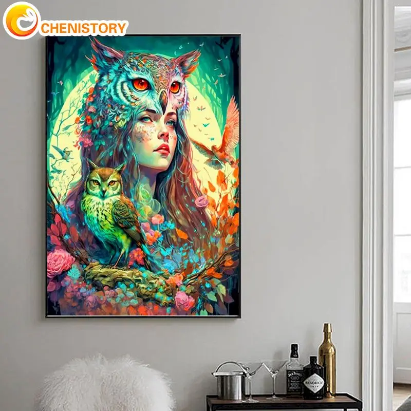 

CHENISTORY Pictures By Numbers Owl Girl 40x50cm Frame Painting By Numbers Figure Drawing On Canvas DIY Home Decoration