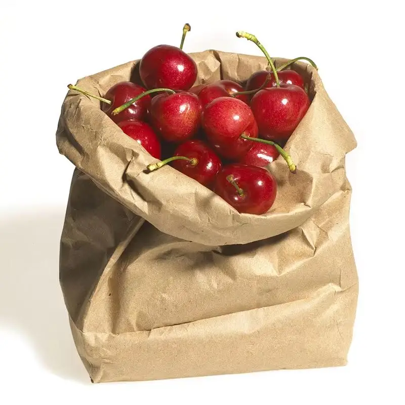 10 Stück Kraftpapiertüten mit Stabilem Quadratischem Boden in Verschiedenen Größen für Lebensmitteleinkäufe, Takeout und Einzelhandelsverpackungen – Detail 13