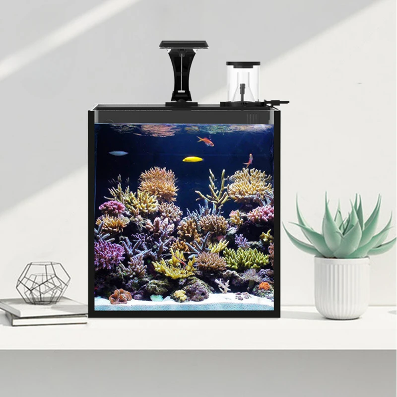 Heißes verkaufendes Seefisch becken kleines kreatives quadratisches Mini-Aquarium mit Filter-Desktop-Aquarium