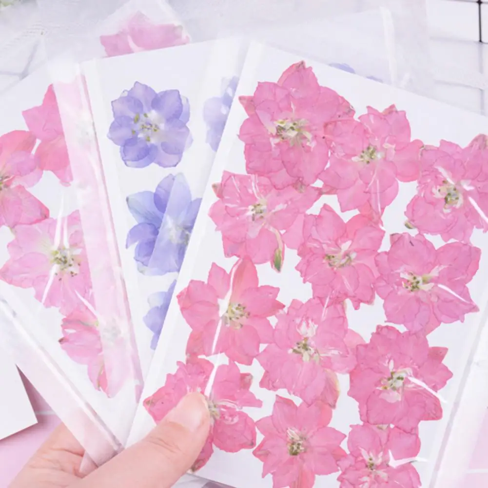 12Pcs Dried Flowers Epoxy Resin DIY Creation Dried Pressed Flowers DIY Jewelry Mobile Phone Shell Flower Sticker Nail Art