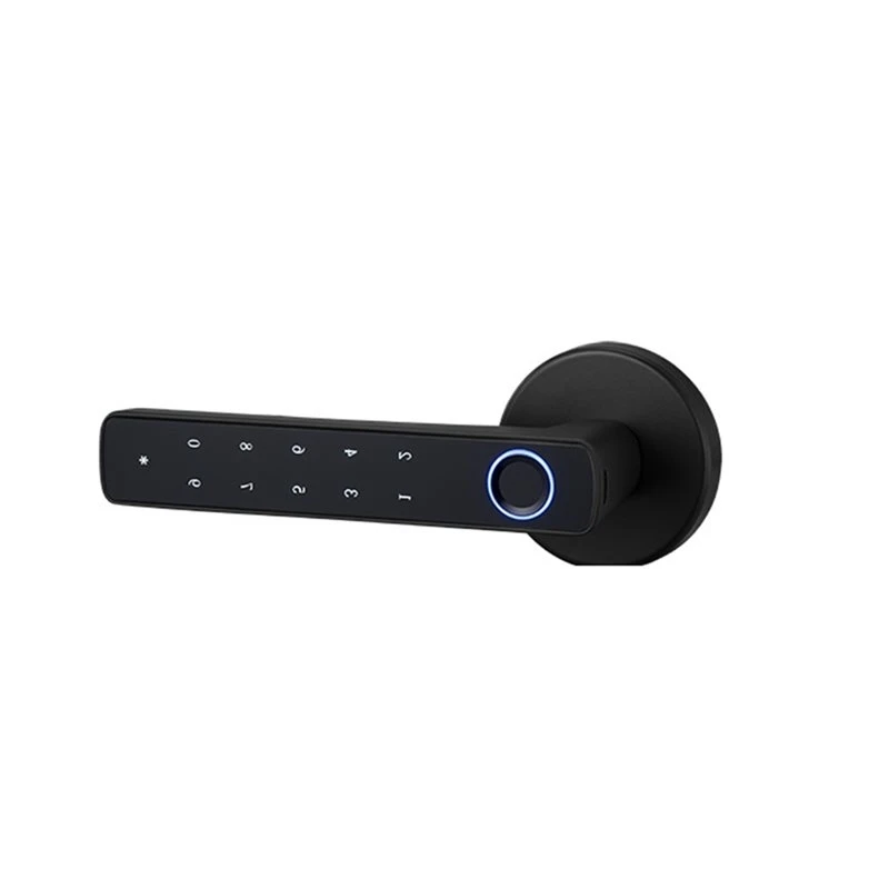 ABJN-Tuya APP Enabled Smart Fingerprint Door Lock, 4-In-1 Keyless Biometric Security System Password& Key Functionality Wifi