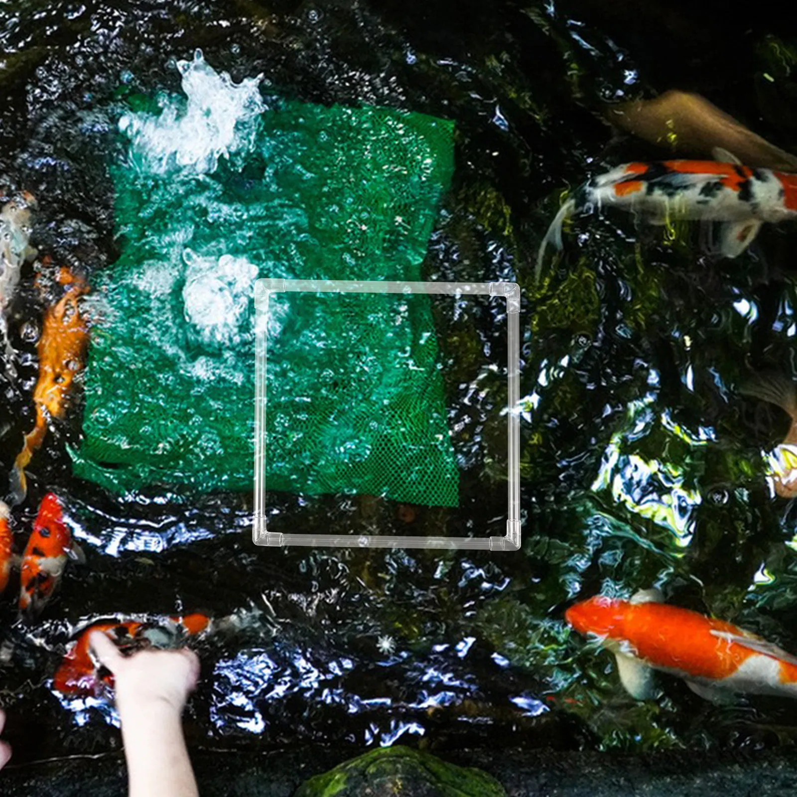 Planted Aquarium Materials - ชุดวงแหวนลอยน้ำสำหรับตู้ปลา 1 ชุด สำหรับแยกต้นสาหร่ายเป็ด วัสดุ PC