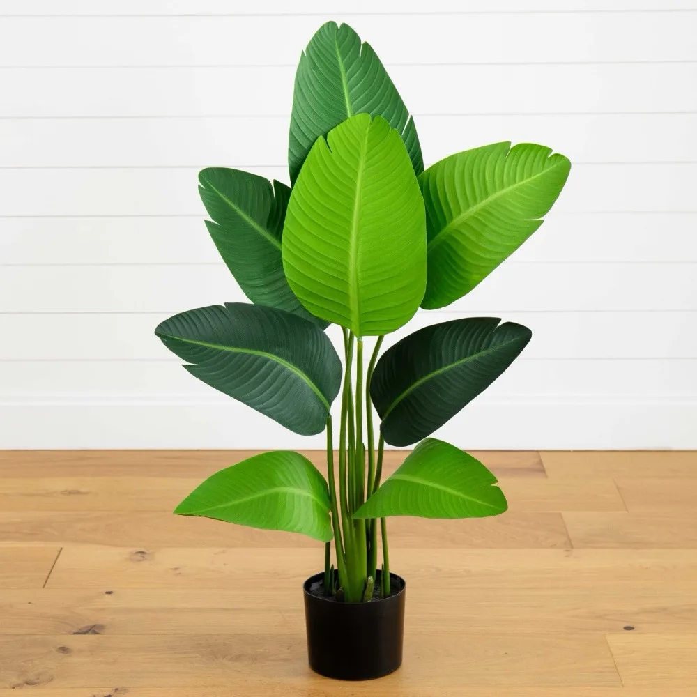 4’ Travelers Palm A…