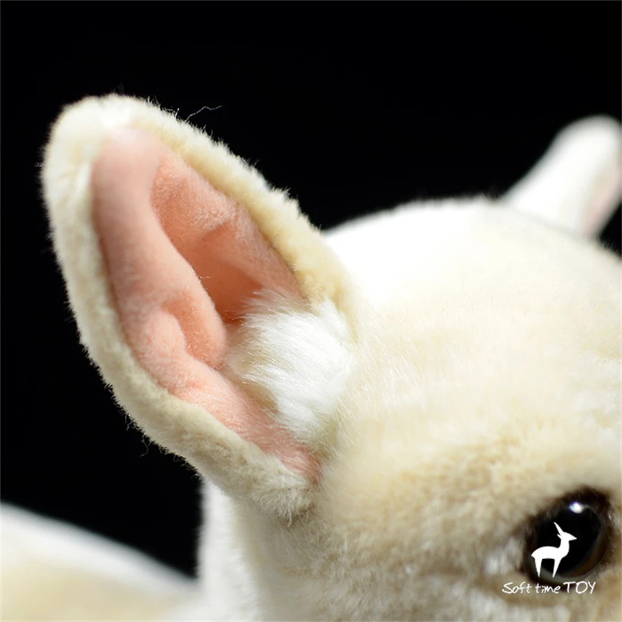 Juguete de peluche realista de Chihuahua, animal relleno de perro Chichi realista, peluche de cachorro de Chihuahua, regalo de muñeco de Chihuahua de simulación