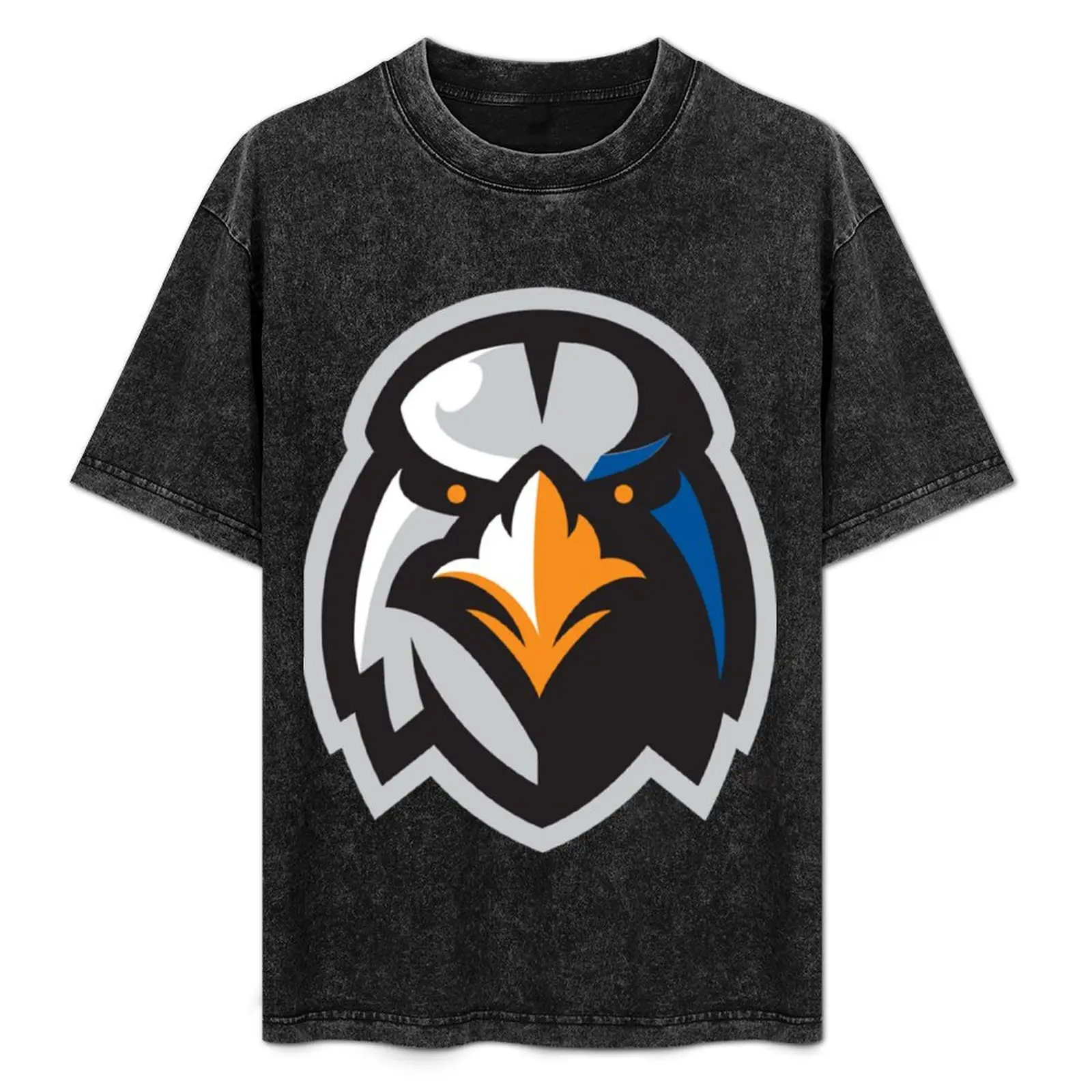 Aberdeen IronBirds T-Shirt Active Wear Sports T-Shirt for Men