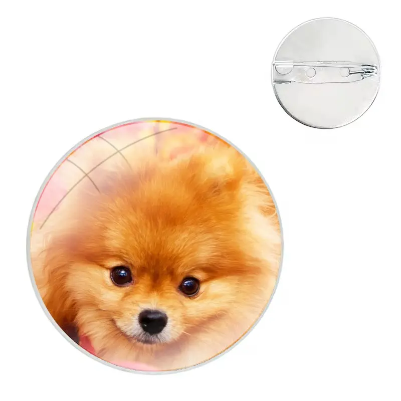 Glass Dome Brooches Shirt Lapel Bag Cute Badge Pins For Clothes Hat Accessories Pomeranian dogs