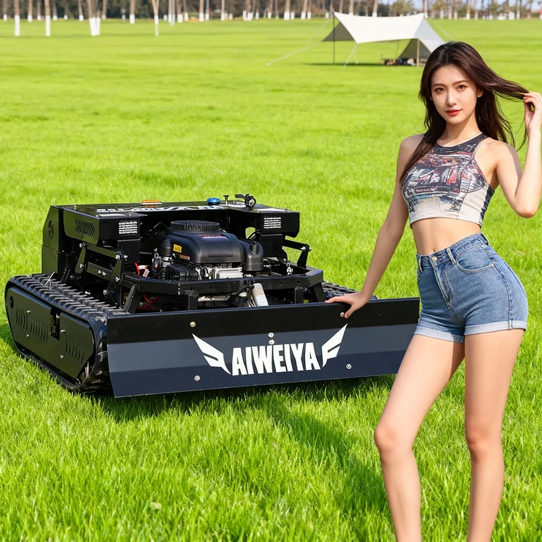 

Customized One-On-One Beauty Sales 2 in 1 Mowing Snow Shoveling Lawn Mower Core Engine Motor CE/EPA Certified
