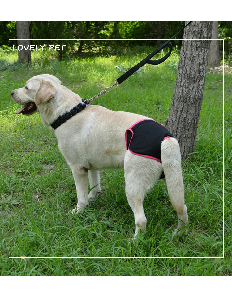 Female Dog Physiological Pants Pet Safety Underwear Small Dog Menstrual Period Golden Retriever Thin Version Menstrual Pants