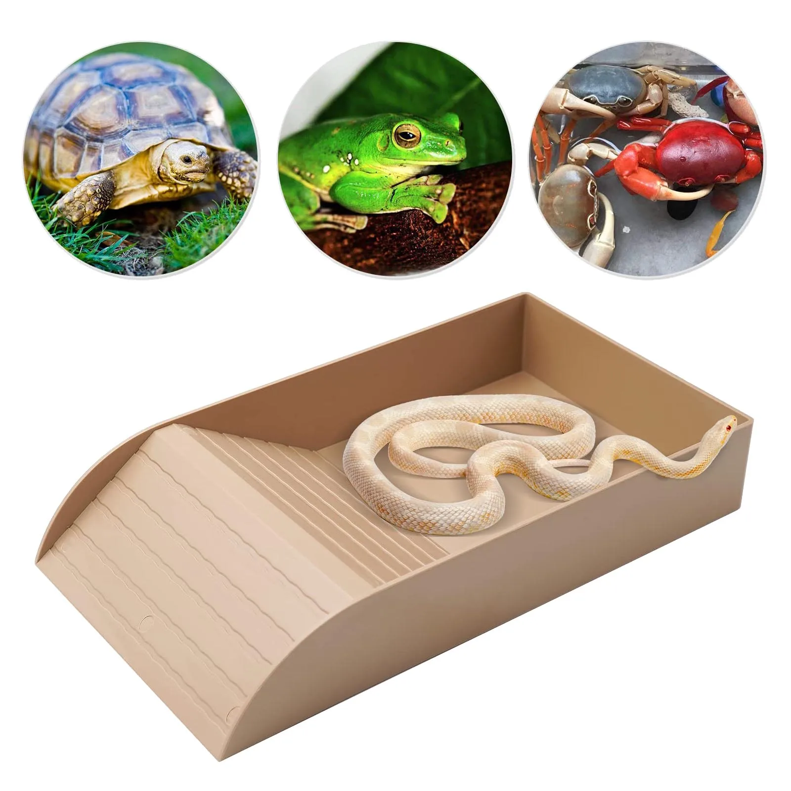 Reptile Water Bowl Tortoise Feeding Plate Turtle Bathing Pool for Leopard Gecko Bearded Dragon Amphibians Accessories