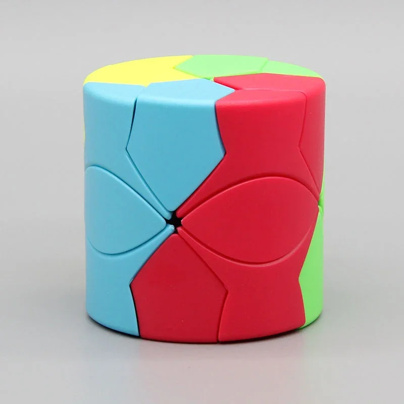 2x2 Zylinder Zauberwürfel Puzzle 2x2x2 Cubo Magico Lernspielzeug Für Studenten Magischer Fotowürfel Zauberwürfel Kinder Geschenke Educ Spielzeug