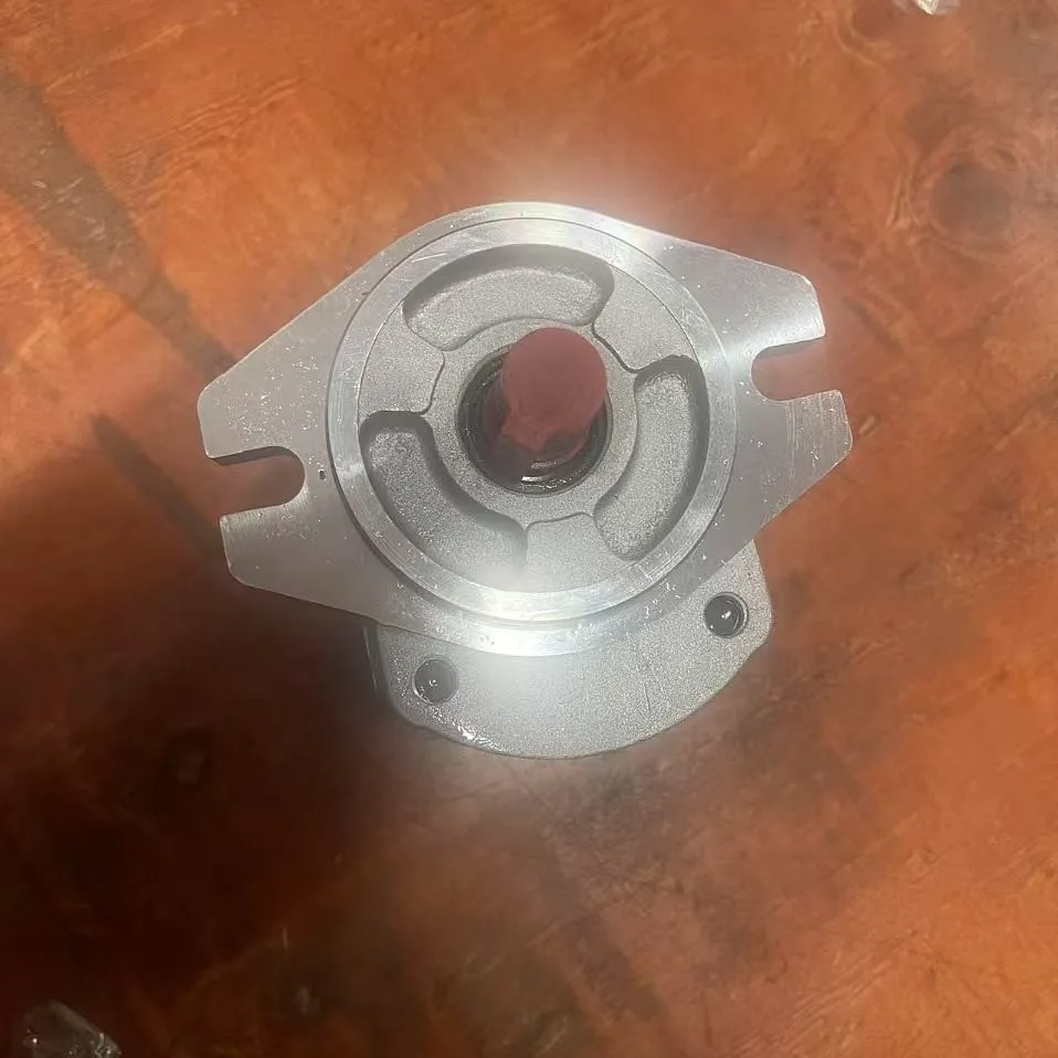P225RP01DD, P222RP01DF, P233RP01DF, P214RP01DD, Gear pump