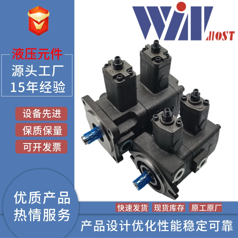 WINMOST Fengchang VP-DF- 12/15/20/30/40D/C/B/A Dual Vane Pump 15 20 30 40D