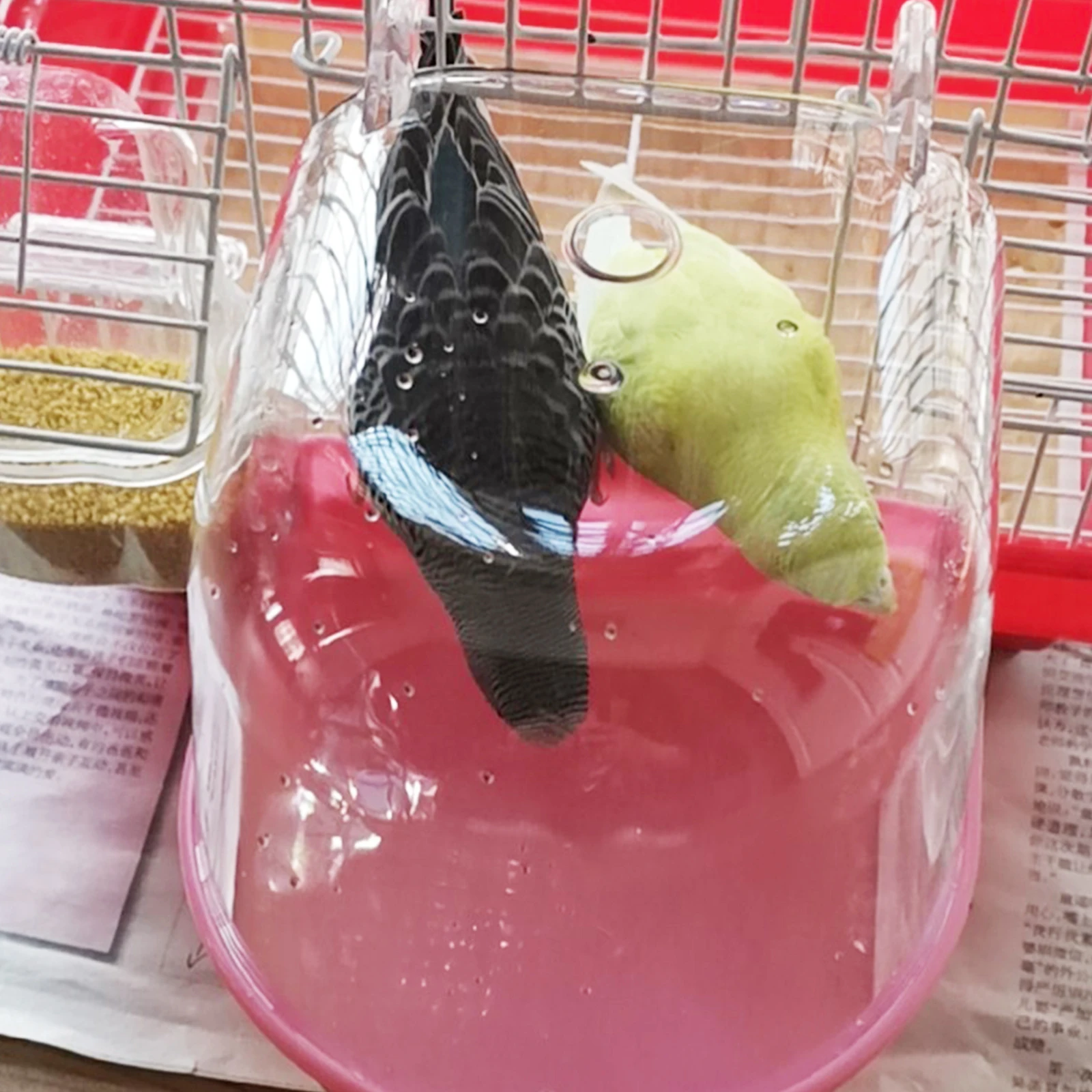

2Pcs Bird Bath Basins High-Quality Plastic Hanging Cage Spill-Proof Bird Bathing Tubs Parrot Shower Basin Parrot Bathtubs