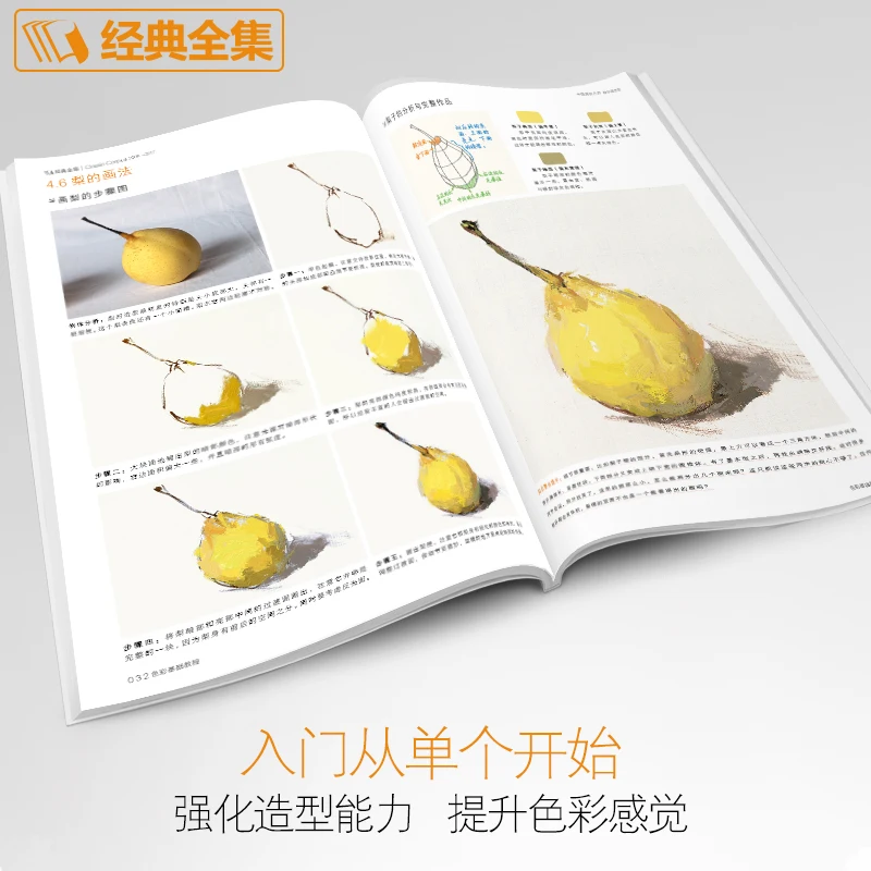 كتاب تعليمي أساسيات الألوان: مدرس أكاديمية الصين للفنون الجميلة لتعليمك رسم الألوان كتاب الرسم الدخول القائم على الصفر