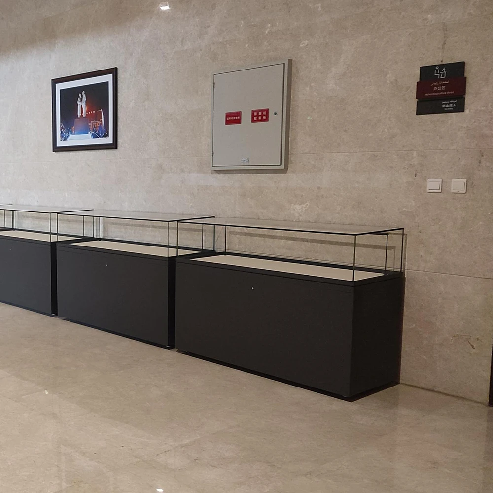 Custom.Customizable Glass Tabletop Cabinets for Museum Display