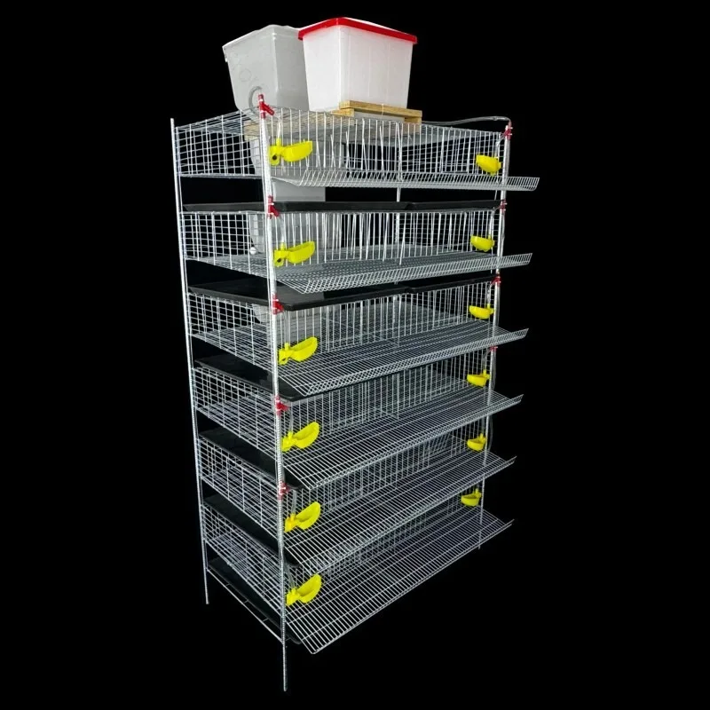 Vertical quail cage Bird cage can automatically clear manure feeding Drinking water Quail egg production cage