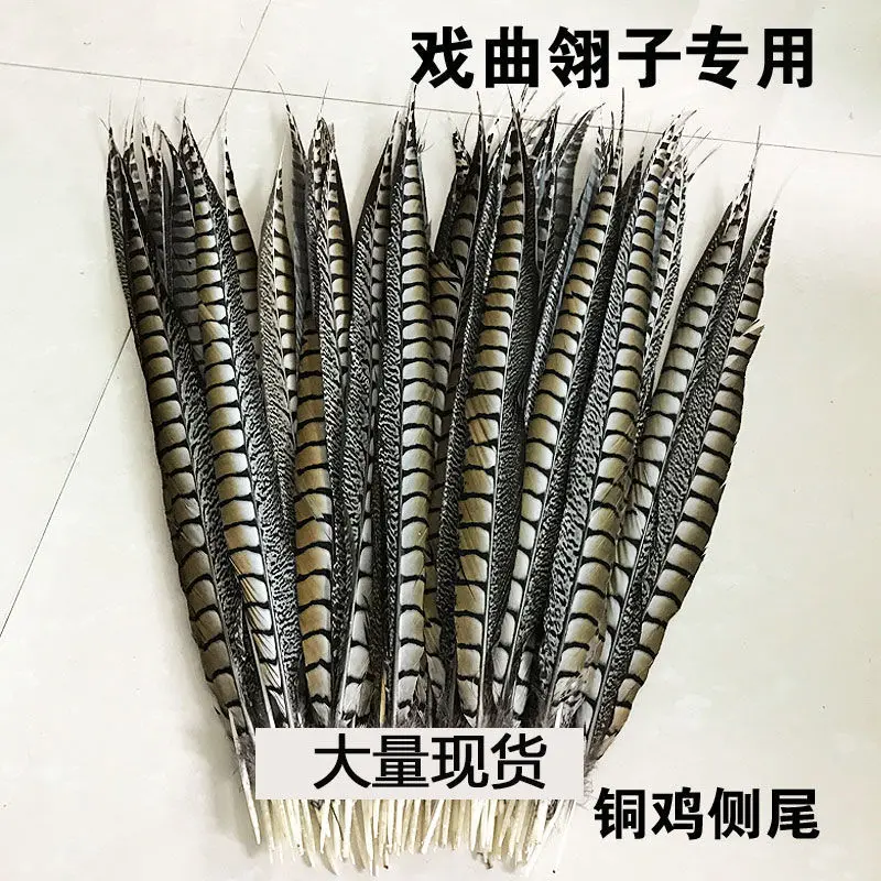 Natural copper chicken side tail feathers Peking Opera opera feathers pheasant tail pheasant hair stage performance DIY decorati