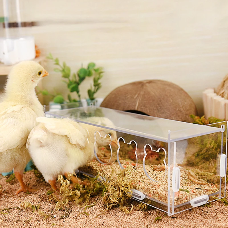 3/5 Holes Rutin Chicken Acrylic Feeder Transparent Splash-Proof Food Basin Large-Capacity Trough Feeding Box Put Grain Feed Box