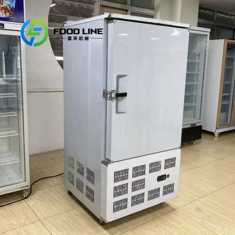 

Customized Minus 45 Degrees Deep Blast Chiller Freezer Equipment With Auto Defrost Commercial Use
