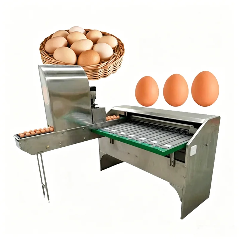 Egg Grading and Sorting Machine Automatic Egg Washing Function Stainless Steel for Poultry Farm Processing Customized