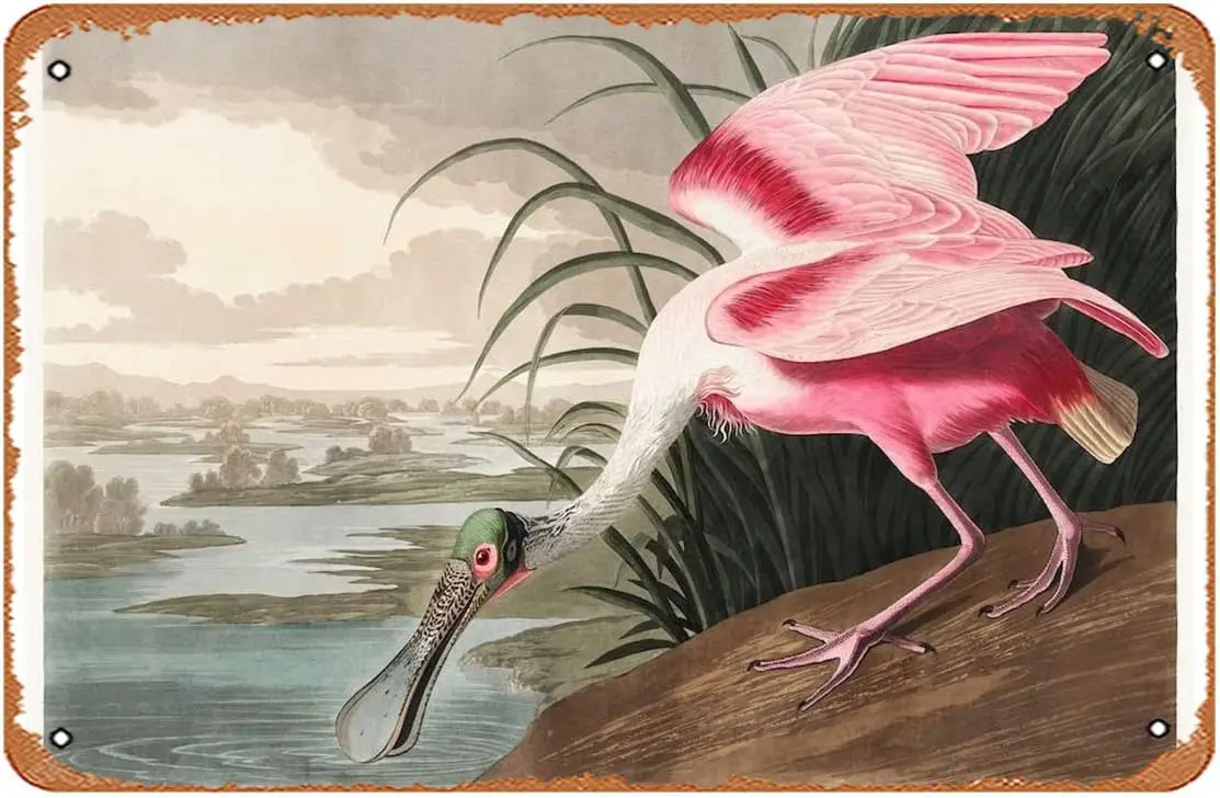 Pink Roseate Spoonbill Art Print - Vintage Poster 8x12 Inches Retro Vintage Metal Tin Sign for Home Bar Pub Garage Decor Gifts