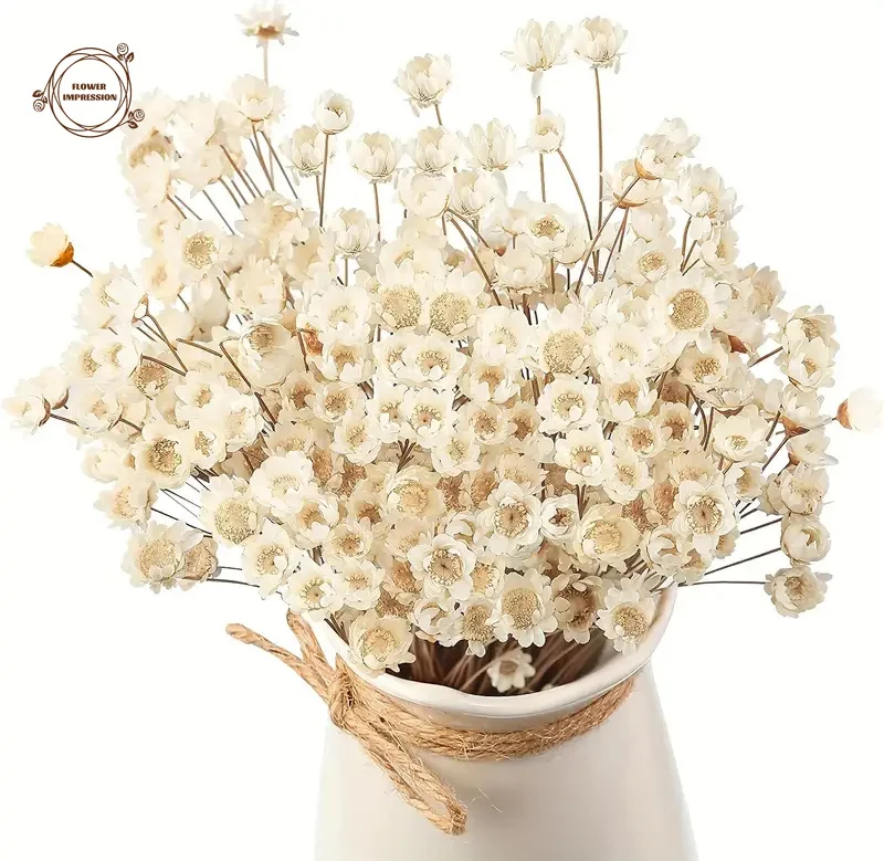 50pcs petite étoile marguerite fleurs séchées décor de mariage petite camomille Flore Bouquet fête chrysanthème bricolage décoration décors à la maison