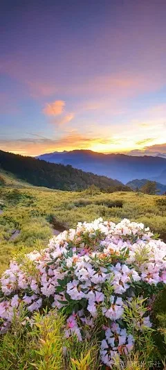 

Комплект для модернизации: корпус трансмиссии и шестерни для радиоуправляемых моделей LOSI 1/24 Micro-B, запчасти для радиоуправляемых машин