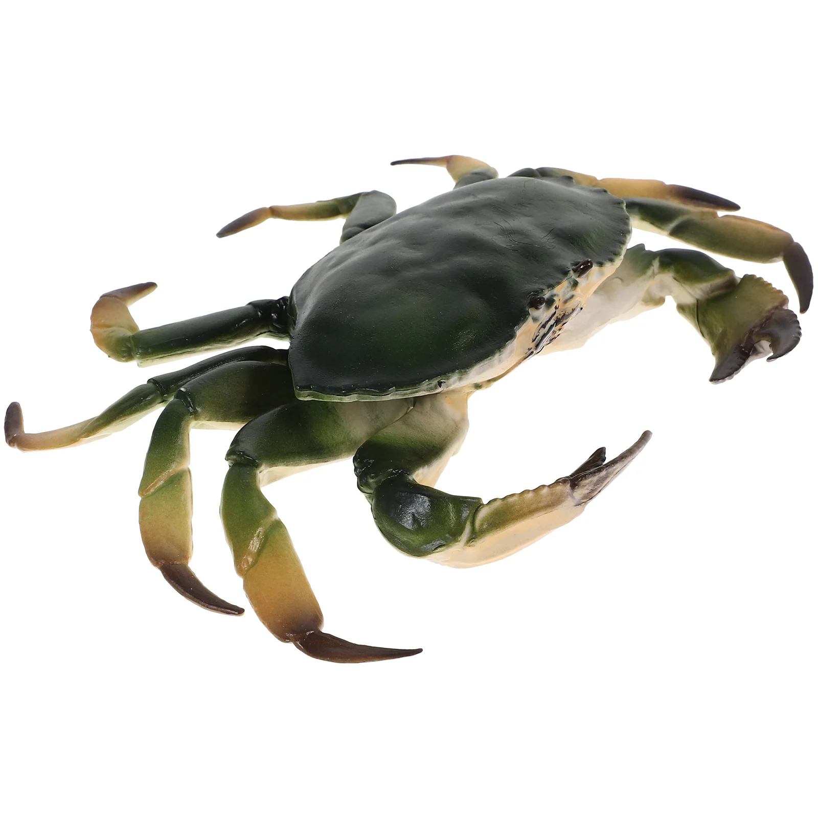 Desktop Crab Decoration Ornament Models Realistic Simulation Figurine Children’s Toys Recognition Animal Teaching Aids