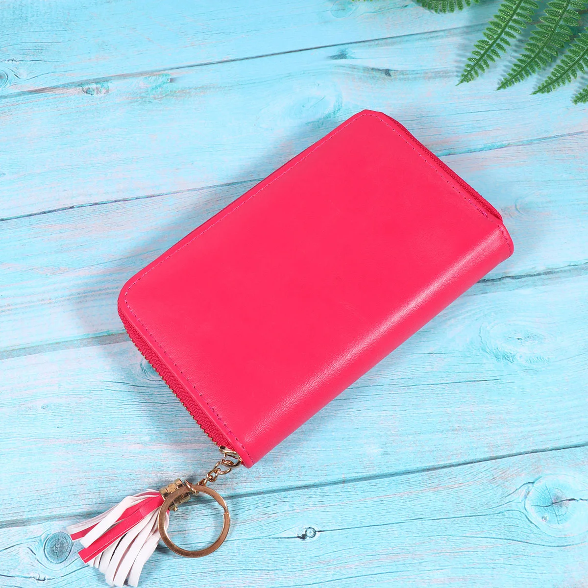 

Nail Art Plates Bag Multifunctional Durable Zipper Stamping Plate Holder Organizer Case Suitable for Nail Art Beginners