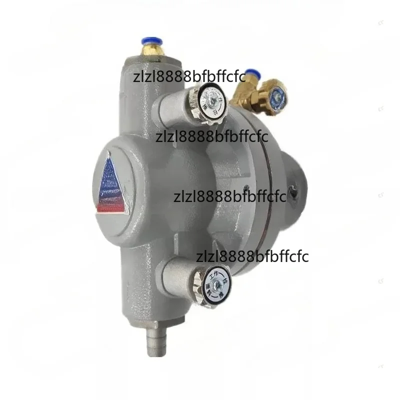 Suitable for QDM-13 pneumatic one-way diaphragm pump, ink pump for carton printing machinery, flow rate: 4-12L/min