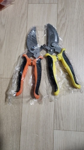 리뷰 사진
