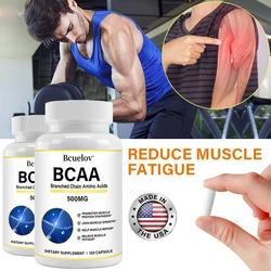 Bcaa Sports Nutrition Supplement, Muscle Synthesis, Fat Burning, Endurance Support