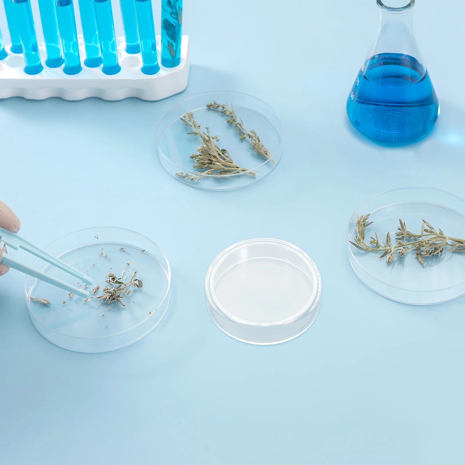 

10Pcs 60Mm Borosilicate Glass Petri Dishes Lids High Transparency Versatile Use Science Lab Equipment Glass Petri Dishes