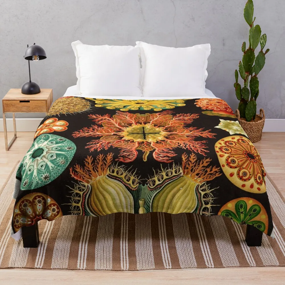 

Ernst Haeckel - Ascidiae (Sea Squirts) - Vintage Botanical illustration Throw Blanket Thins Cute blankets ands Blankets