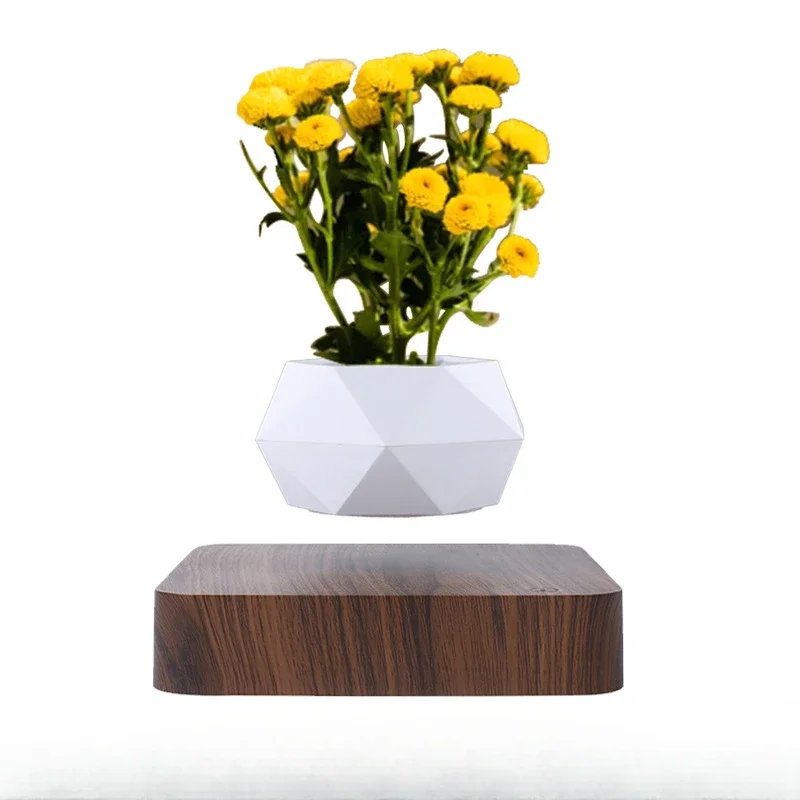 

Magnetic levitation potted plant creative suspension ornament