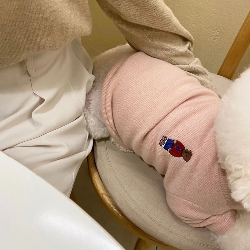 Winter huisdier ondershirt teddybeer geborduurd vest Bichon warme kleding puppy zachte trui modieuze hondenkleding