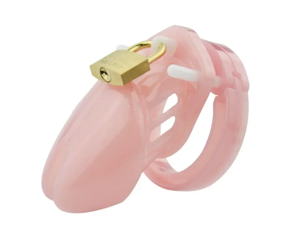 

Male Chastity Cage Device Small/Standard Cock Cage with 5 Size Rings Brass Lock Locking Number Tags Erotic Urethral Men SexyToy