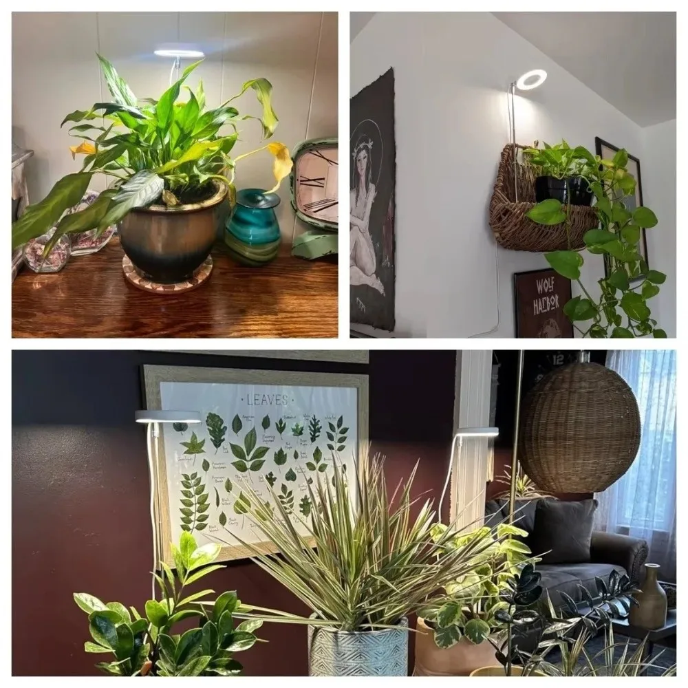 

Height/Angle Adjustable LED Plant Grow Light Timer Dimmable Full Spectrum Lamp Full Spectrum USB Ring Grow Light